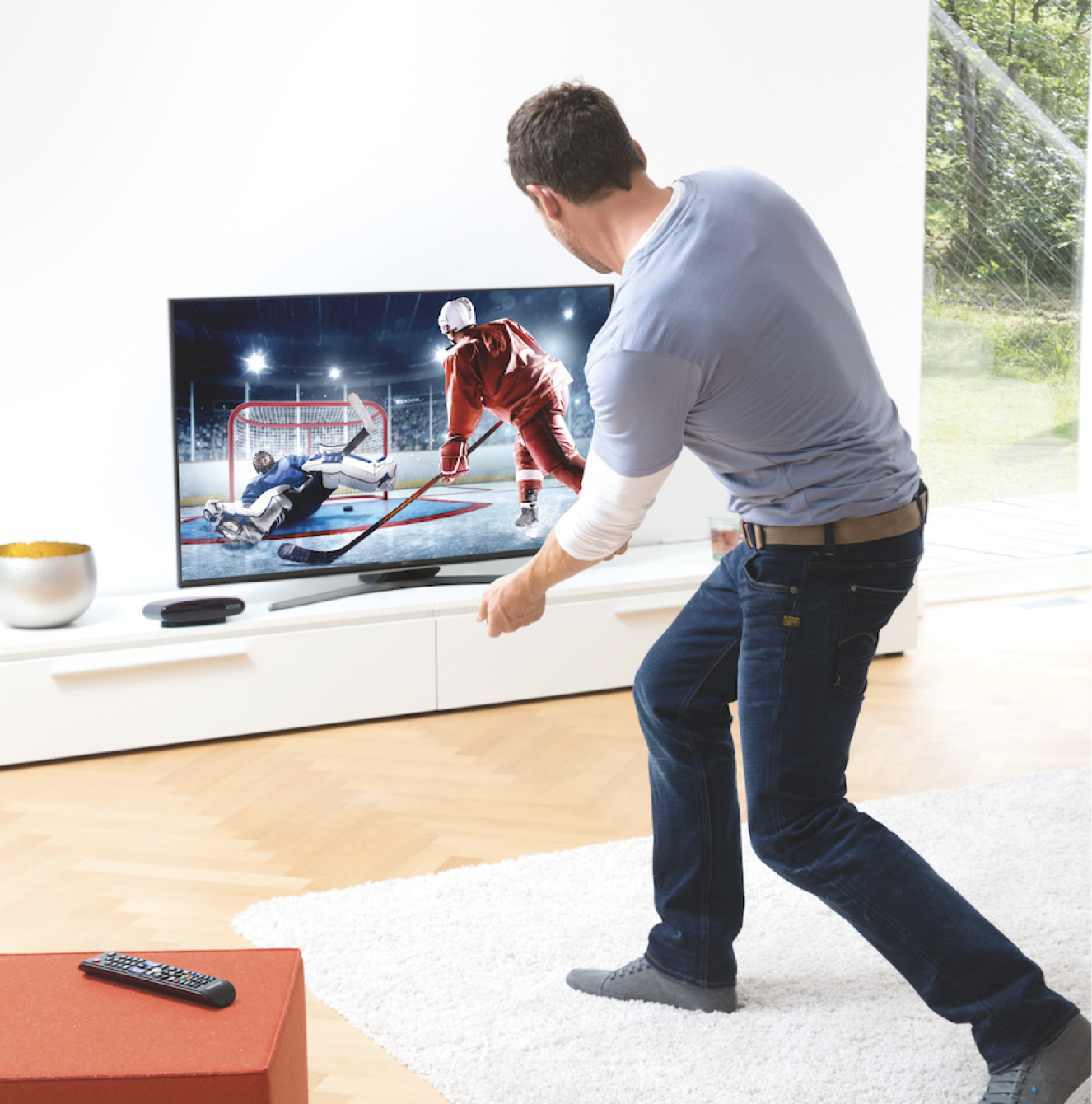 Playing hockey game on TV