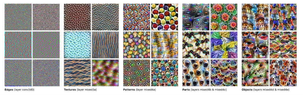 Figure 2: Progression of learned abstractions by visualizing features of a pre-trained DNN at increasingly deep layers. Original image available in this blog post by Google Research team.