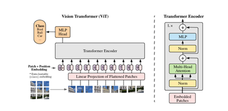 Figure 4: Depiction of image preprocessing required for Vision Transformers (ViT). Original image pulled from this paper.